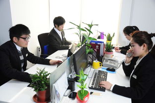 上海港茗投資管理 專業圖景與戰略布局